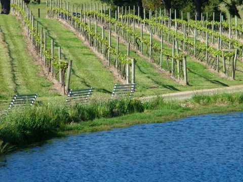 De\'Vine Escape - Accommodation Australia 29