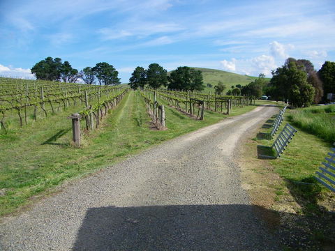 De\'Vine Escape - Accommodation Australia 24