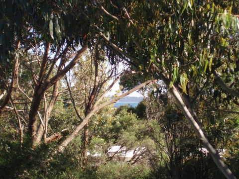Aloha Ha Phillip Island - Accommodation Australia 24