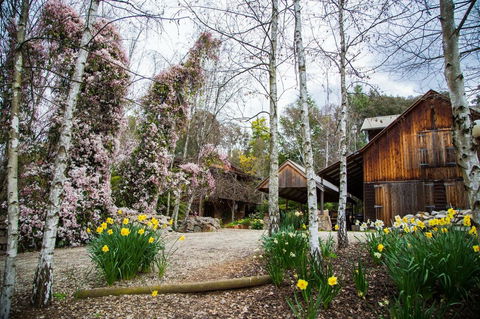 Lothlorien - Accommodation Australia 0