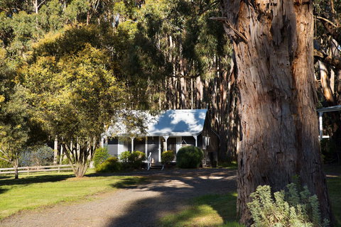 Bodhi Daylesford - Accommodation Australia 8