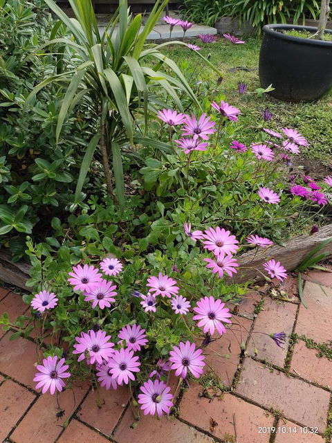 Coachman Motel And Holiday Units - Local Tourism 15