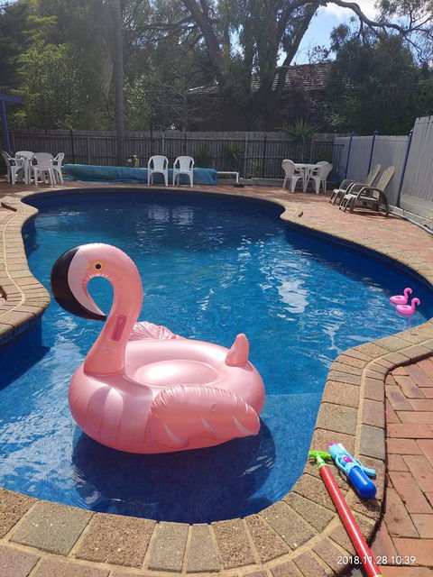 Coachman Motel And Holiday Units - Local Tourism 7