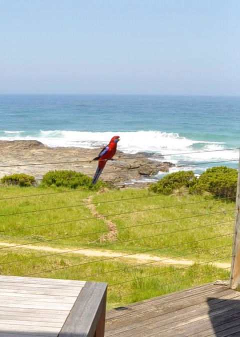 14 Steps - Accommodation Australia 15