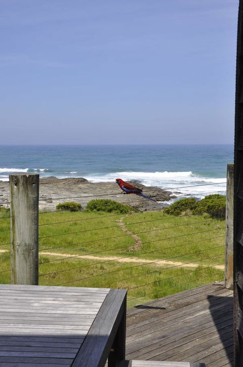 14 Steps - Accommodation Australia 14