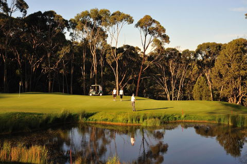 RACV Goldfields Resort - Accommodation Australia 31