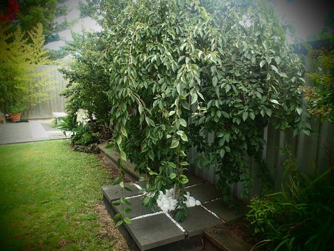 Azen Haven - Accommodation Australia 12