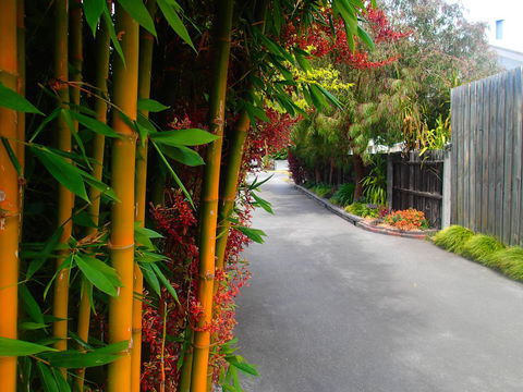 Azen Haven - Accommodation Australia 14