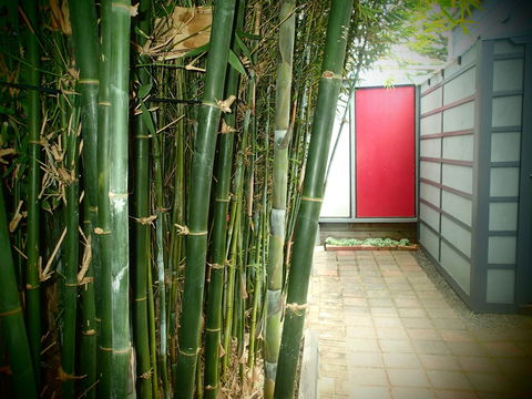 Azen Haven - Accommodation Australia 13