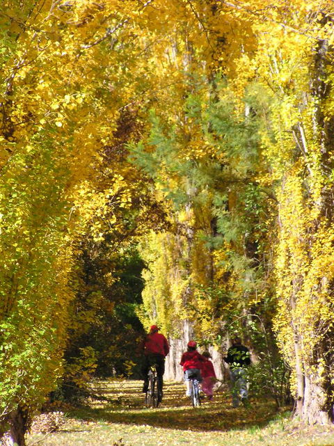 On The Banks - Australia Shopping 15