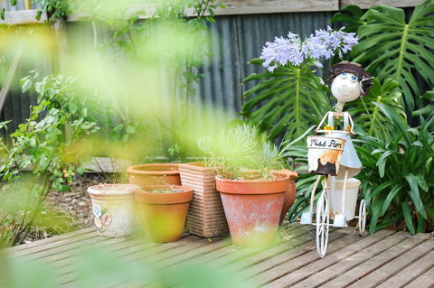 Miss Pym's Cottage - Australia Shopping 7