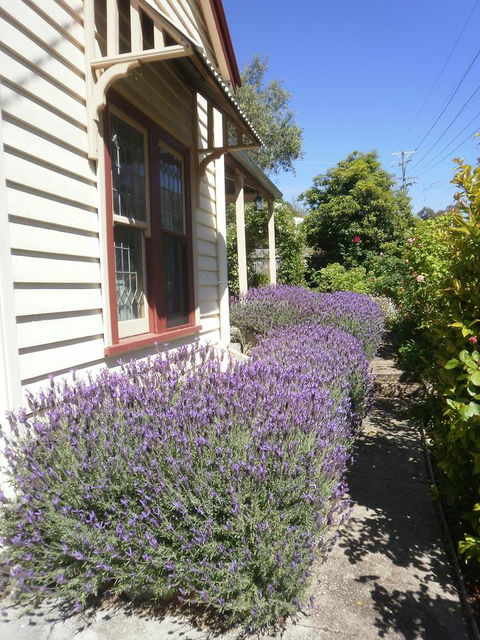 Miss Pym's Cottage - Australia Shopping 44