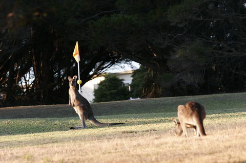 Lakeside At Mallacoota - Accommodation Australia 37