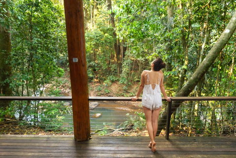The Canopy Rainforest Treehouses & Wildlife Sanctuary - Local Tourism 3