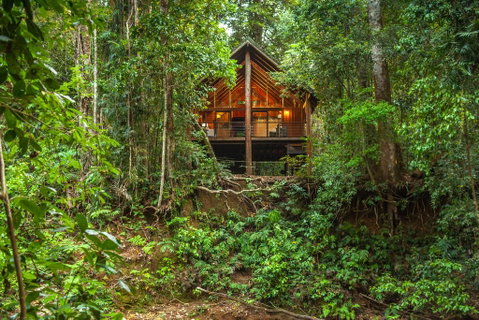 The Canopy Rainforest Treehouses & Wildlife Sanctuary - Local Tourism 0
