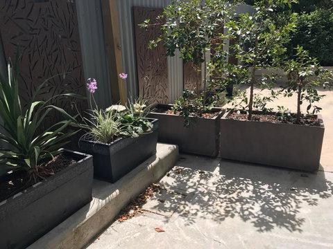 The Cottages At The 1839 - Australia Shopping 3