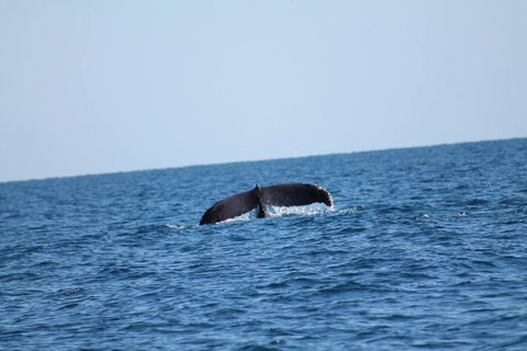 The Cove Holiday Village - Australia Shopping 1