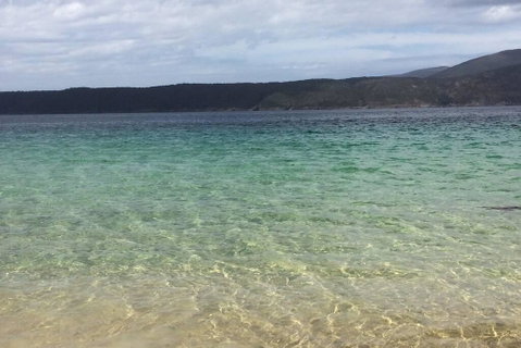 The Cove... On The Rocks At Port Arthur - Accommodation Australia 1