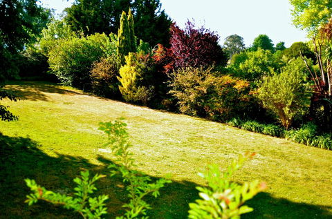 The Glasshouse Boutique Accommodation - Accommodation Australia 1