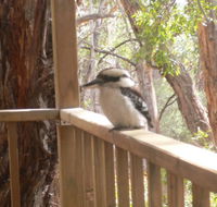 The Ledge Holiday House - Accommodation Australia