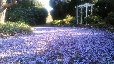 The Old Church Bed And Breakfast - Australia Shopping 2