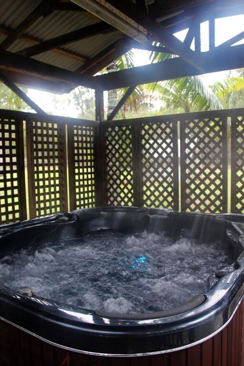 The Ole Gumtree - Kookaburras Nest - Australia Shopping 3