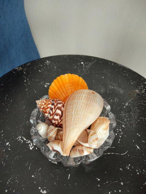 THE QUEENSLANDER MOTEL - Bed n Breakfasts 3