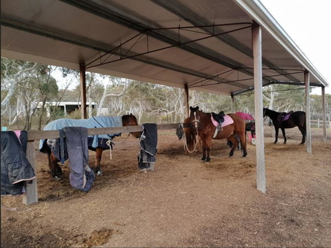 The Saddle Camp Tiny House, Braidwood - Australia Shopping 1
