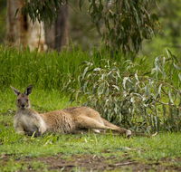 The Stirling Golf Club - Accommodation Australia