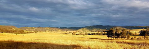 The Wattle Lodge - Accommodation Australia 1