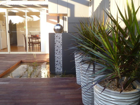 The Wet Lizard - Accommodation Australia 0
