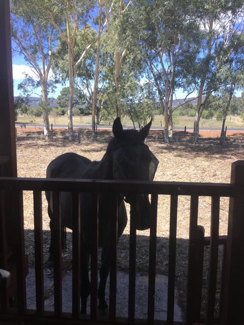 Thie My Chree Retreat - Local Tourism 3