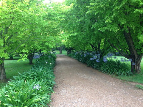 Toscana On Greenhills - Australia Shopping 1