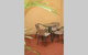 Townhouse@Moonee Ponds 4KM To CBD - thumb 2