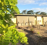 Tread Harcourt - Australia Shopping