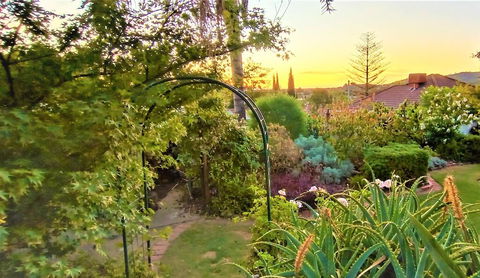Treetops Escape - Accommodation Australia 1