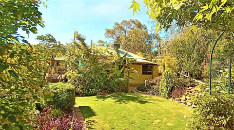 Treetops Escape - Accommodation Australia 2