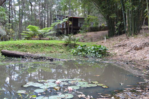 Turmeric Gardens - Accommodation Australia 3