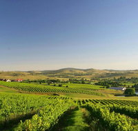 Turners Vineyard Motel - Accommodation Australia