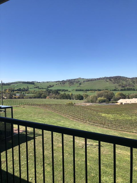 Turners Vineyard Motel - Accommodation Australia 2