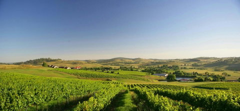 Turners Vineyard Motel - Accommodation Australia 0