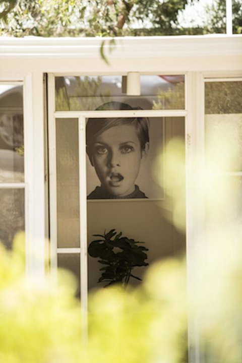 Twiggy @ Anglesea - Accommodation Australia 3