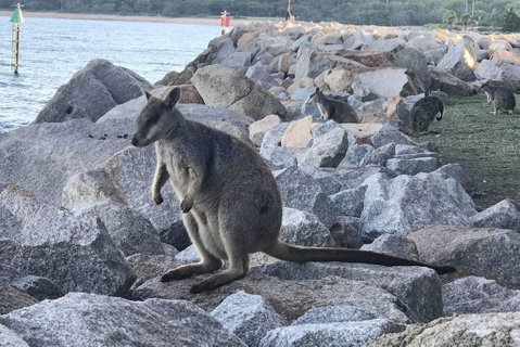 Unit 3202 One Bright Point - Accommodation Australia 2