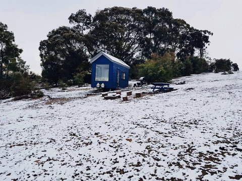 Walden Tiny House - Australia Shopping 2