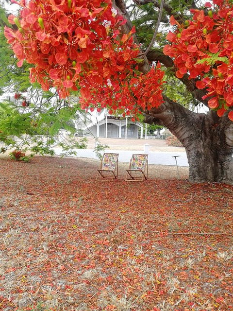 Walk To Beach Queenslander HOME In CBD Hervey Bay - Local Tourism 3