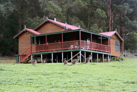 Walpole Wilderness Resort - Accommodation Australia 1