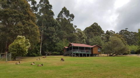 Walpole Wilderness Resort - Accommodation Australia 0