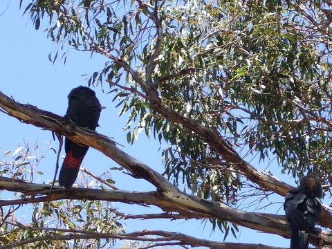 Wanderers Rest Of Kangaroo Island - Accommodation Australia 2