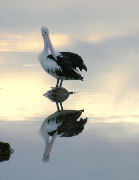 Wanderers Rest Of Kangaroo Island - Accommodation Australia 3