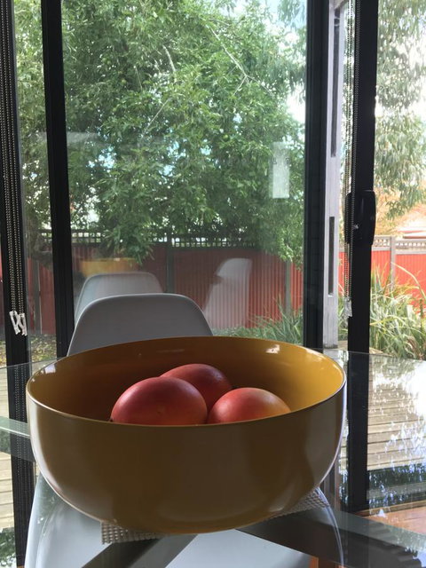 Daydream Cottage - Accommodation Australia 19